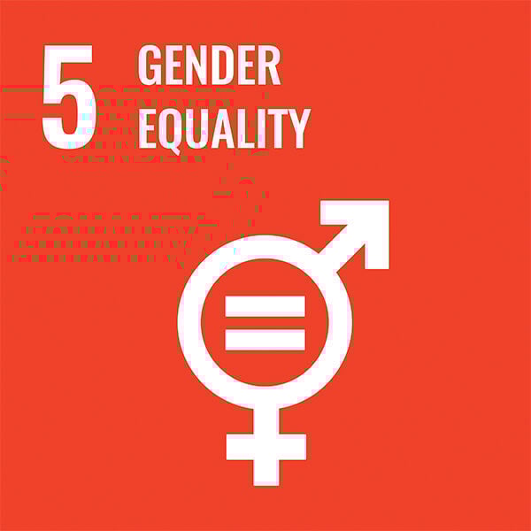 #5 gender equality with icon in orange