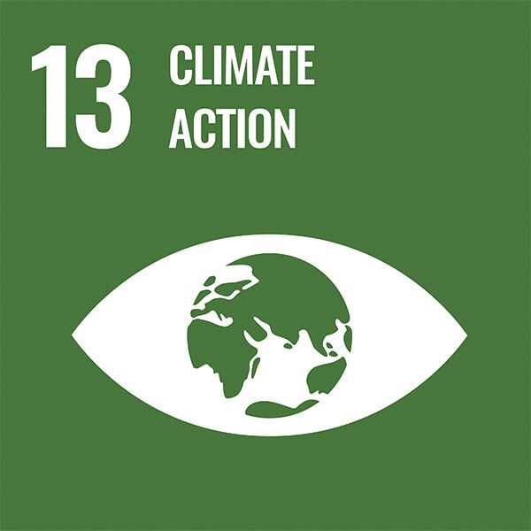 #13 climate action with icon in green